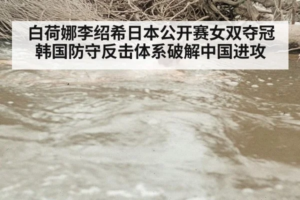 白荷娜李绍希日本公开赛女双夺冠 韩国防守反击体系破解中国进攻 - j9.com